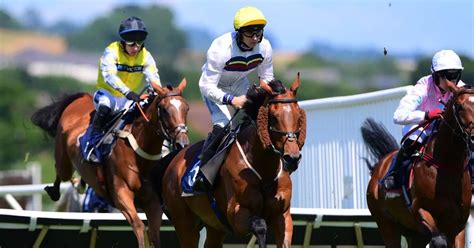 Newton Abbot horse fatalities not linked, says British .